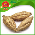 Hot selling Chinese kudzu root/natural white kudzu supplier